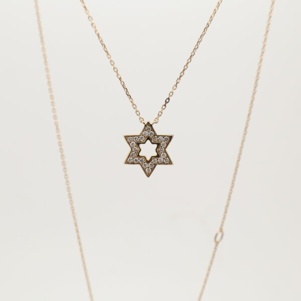 14KY Diamond Star of David Necklace